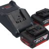 Truffaut Bosch GSR 18V-55 Professional2x 5,0 Ah + charger + L-Case Perceuses & visseuses sans fil