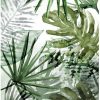 Papiers peints Truffaut Art for the home Pure nature Monstera 280 x 200 cm