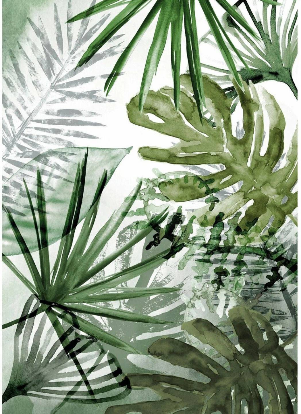 Papiers peints Truffaut Art for the home Pure nature Monstera 280 x 200 cm